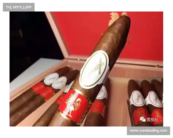 雨燕参加过什么比赛,金雨燕全球巅峰竞技盛会荣耀之战勇者云集争冠宝座